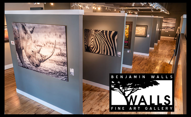 WALLS Fine Art Galleries